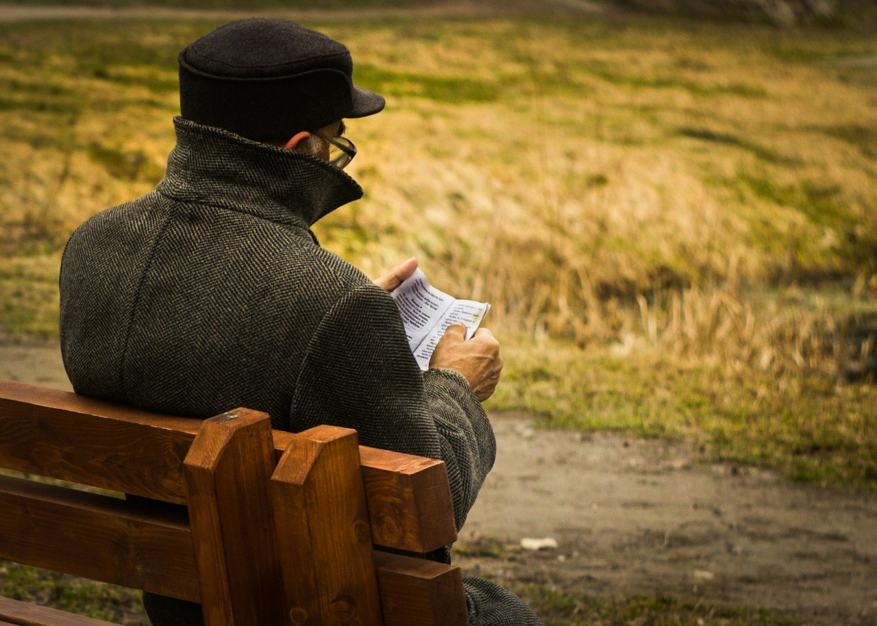 Vivir cerca de zonas verdes frena el envejecimiento. Foto: Unsplash