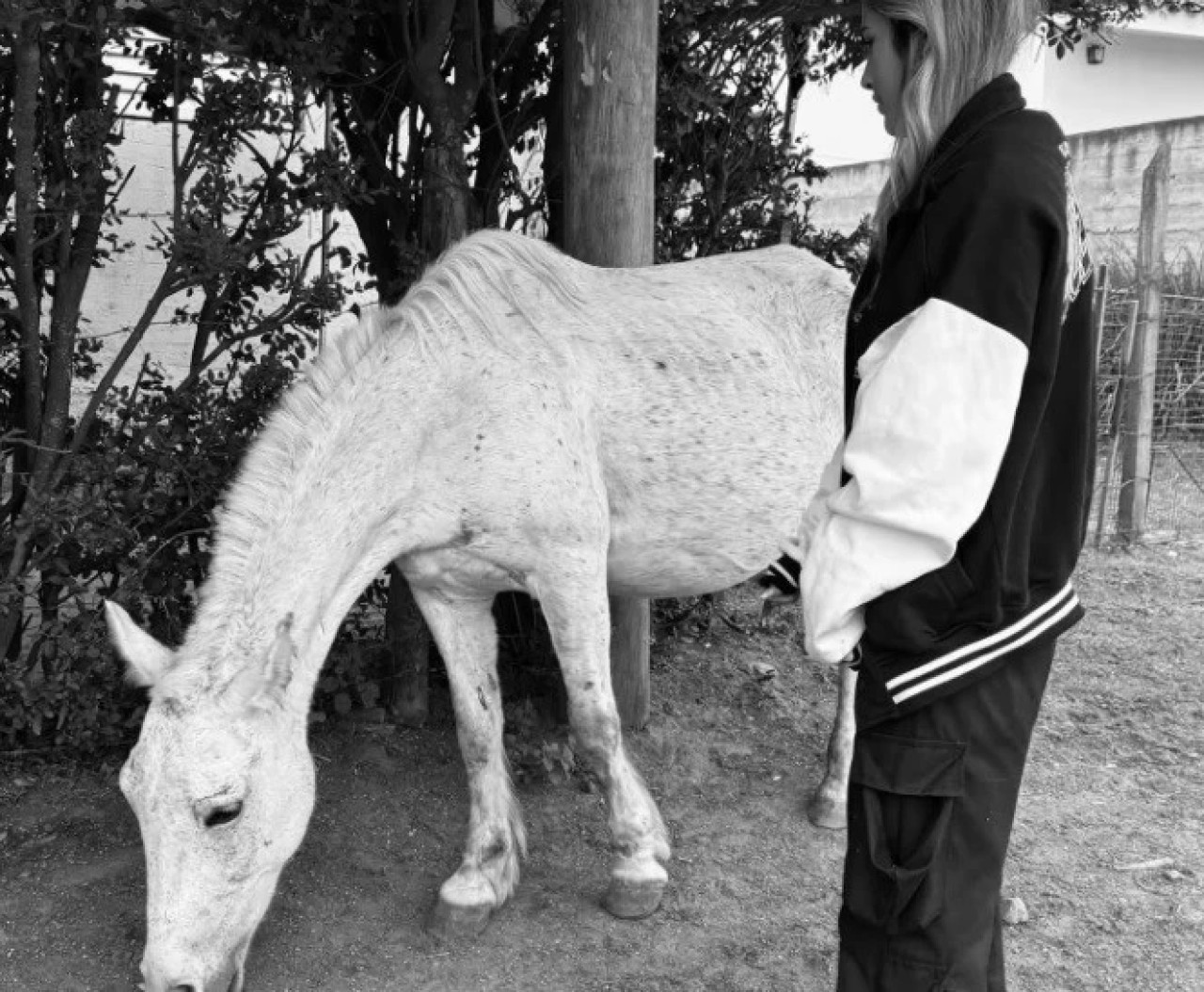 Julieta con el caballo antes del accidente. Foto: NA.