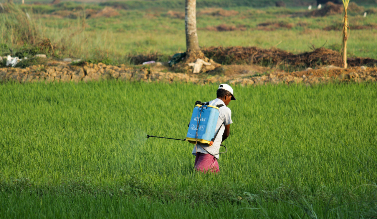 Pesticidas. Foto: Unsplash.