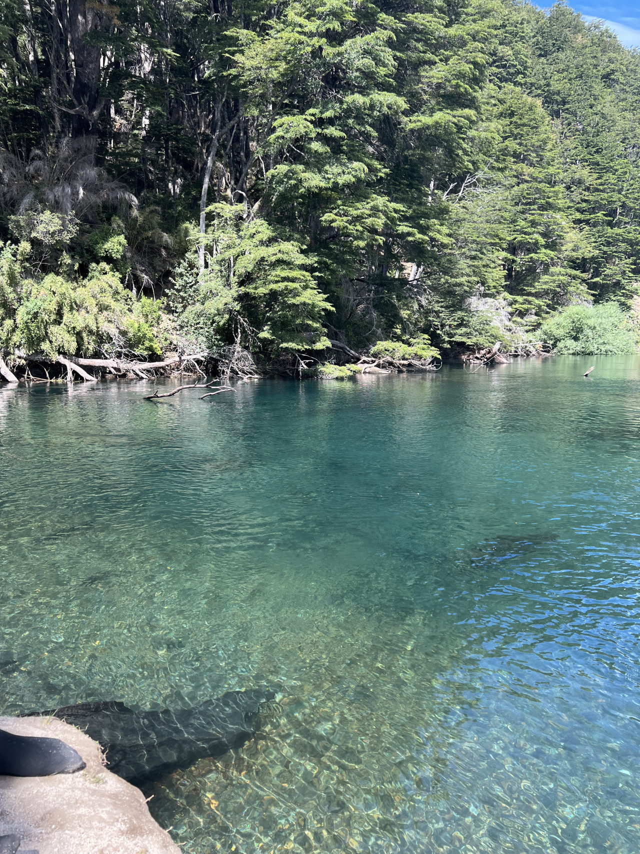 Lago paradisíaco en La Patagonia. Foto Laura Ruberto.