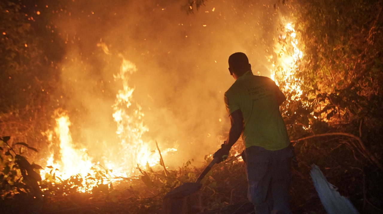Incendios forestales en Bolivia. Foto: EFE