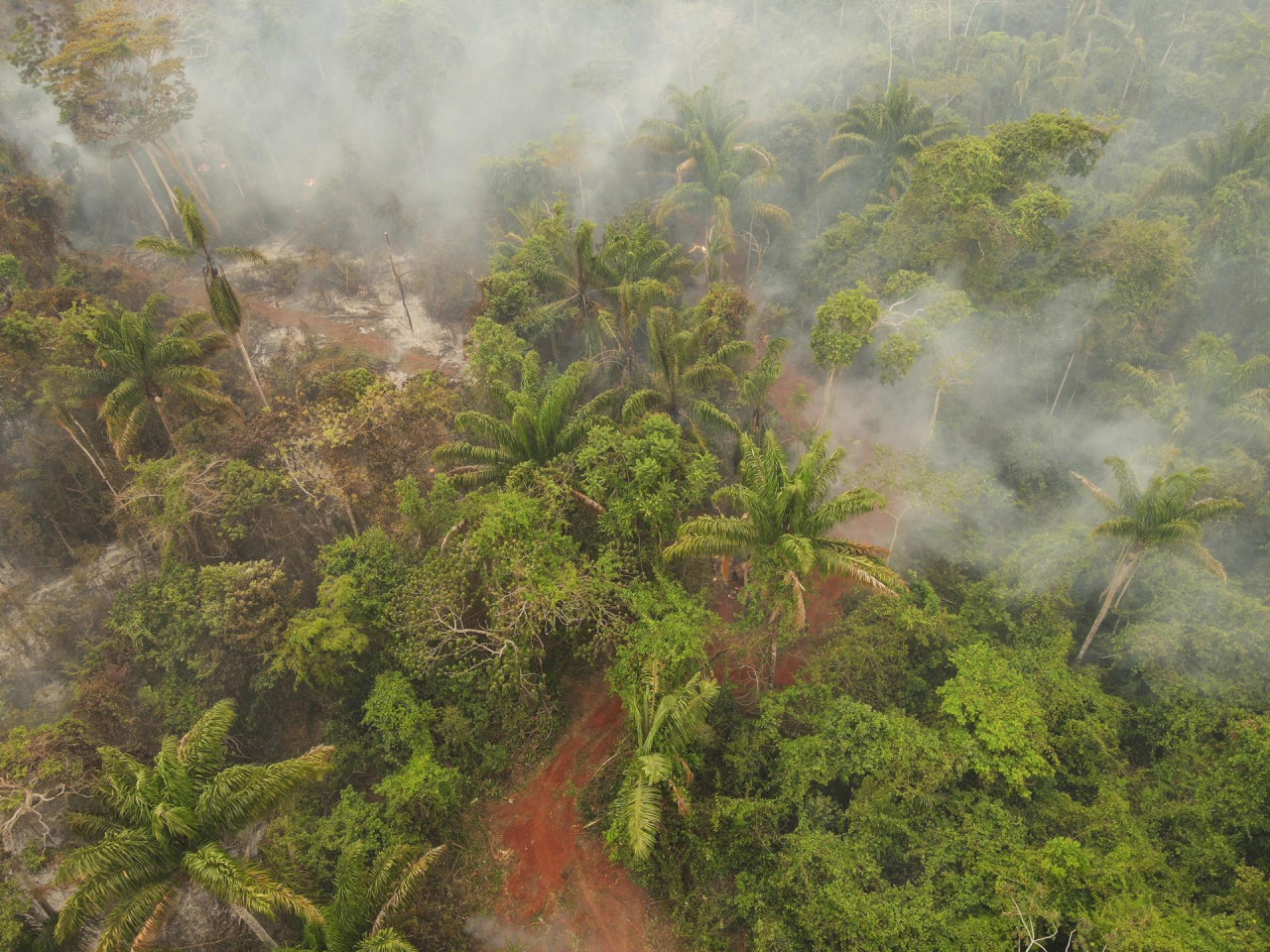 Incendios forestales en Bolivia. Foto: EFE