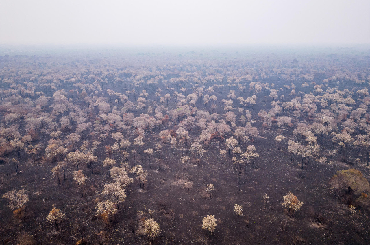 Las cenizas de los incendios del Pantanal brasileño. Foto: EFE