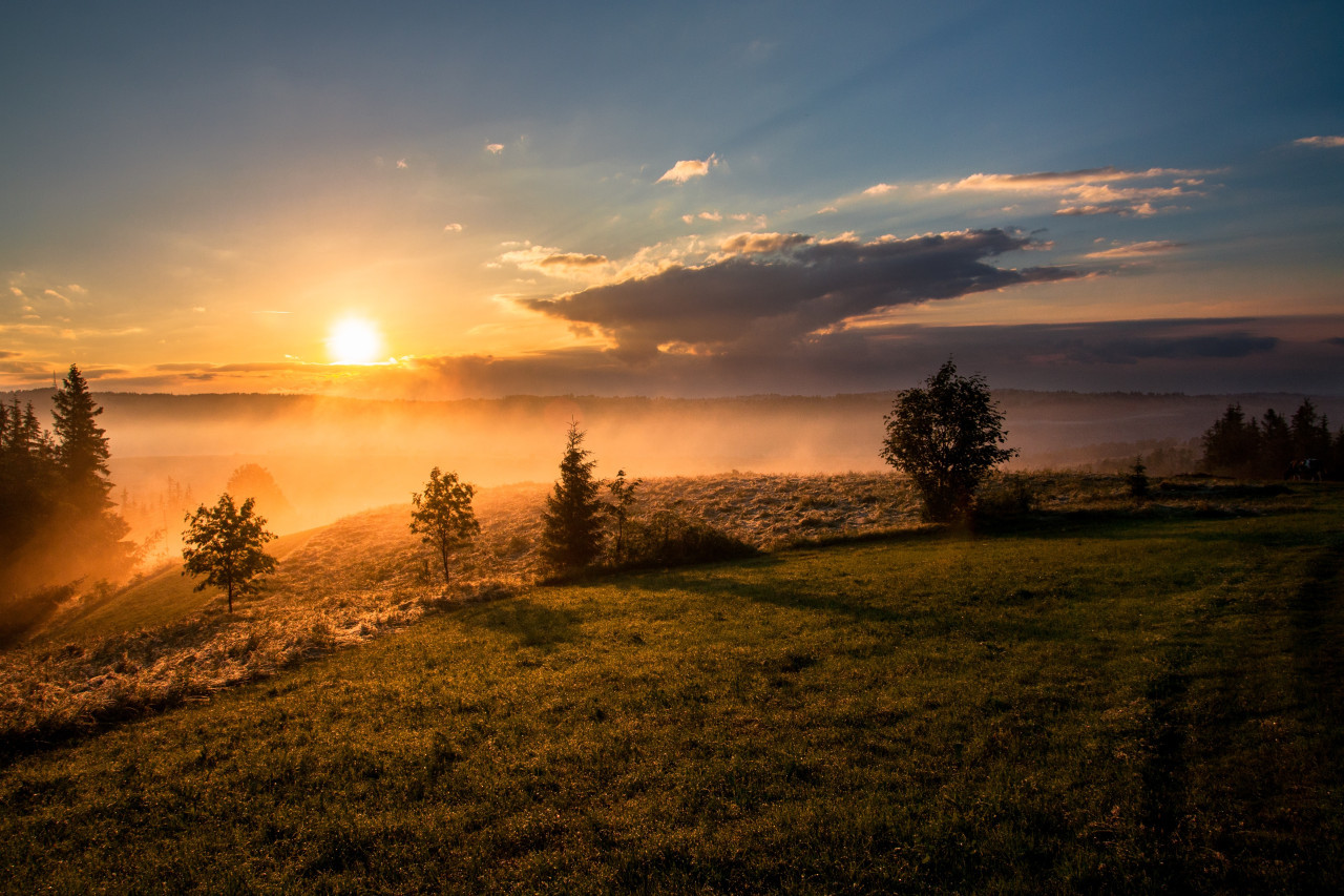 The Sun is the star that holds the solar system together.  Unsplash pictures.