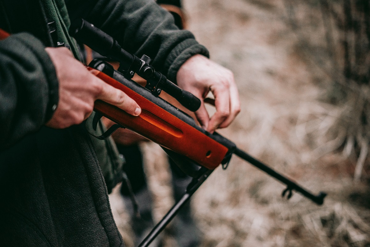 Rifle. Foto: Unsplash.