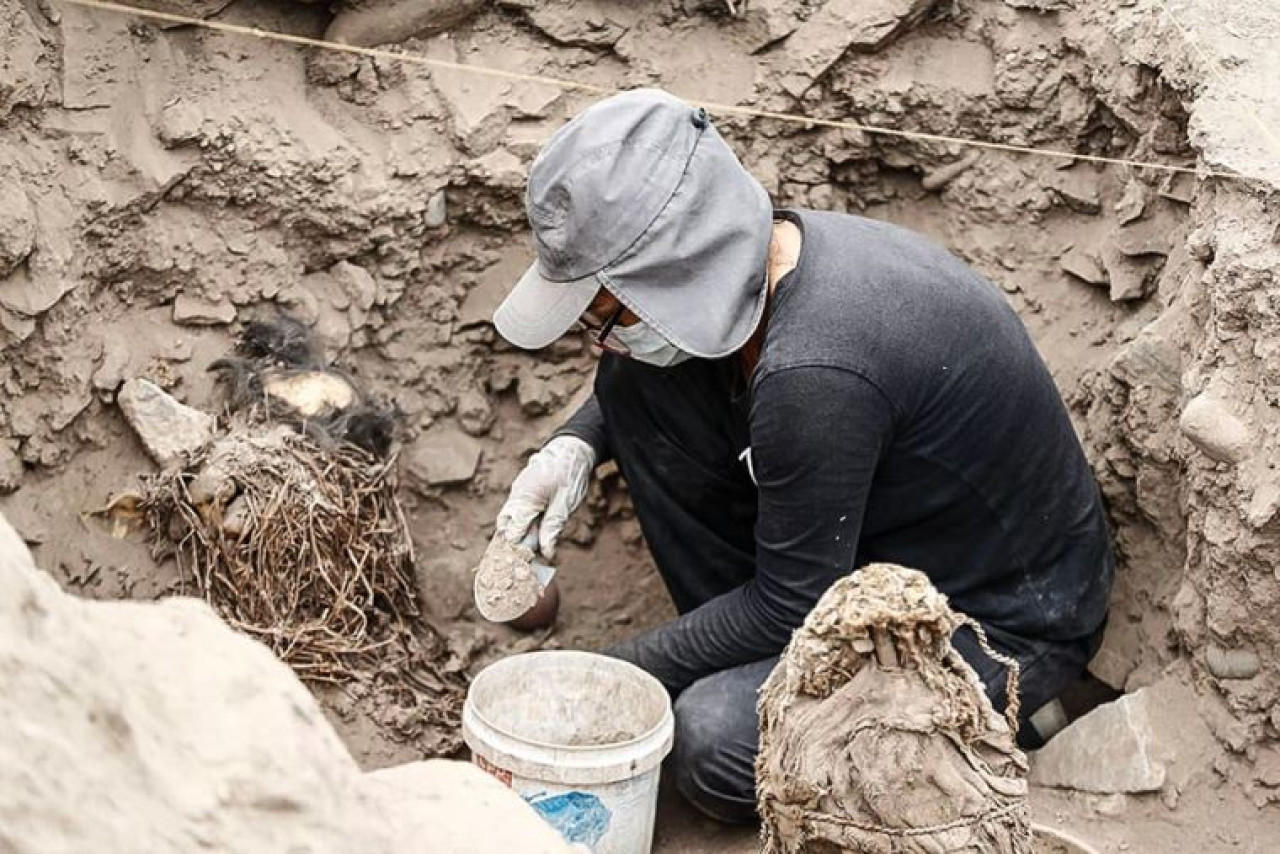 Descubren 5 momias en Perú. Foto: X/@hoy_paraguay