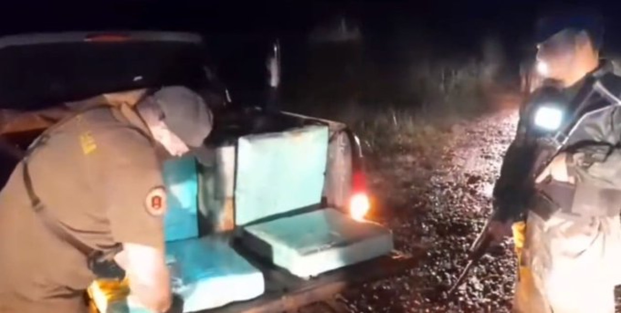 Dos toneladas de marihuana abandonadas al costado de la ruta. Foto: captura.