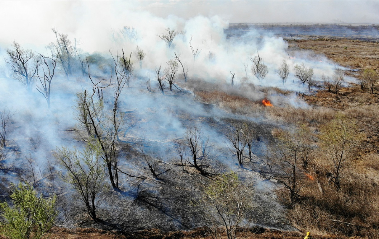 Incendios en Victoria, Entre Ríos. Foto: NA.