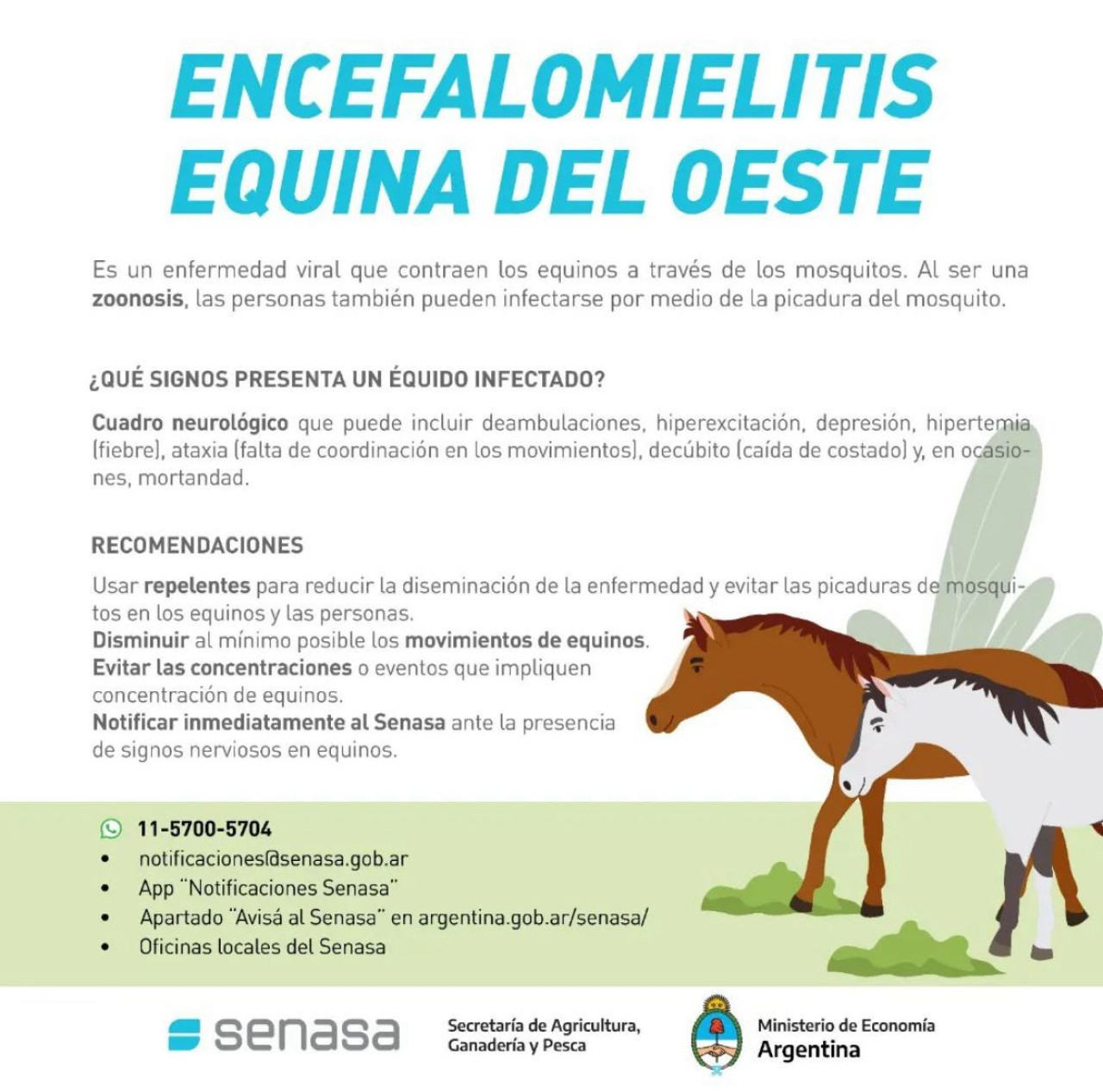 Encefalomielitis equina.