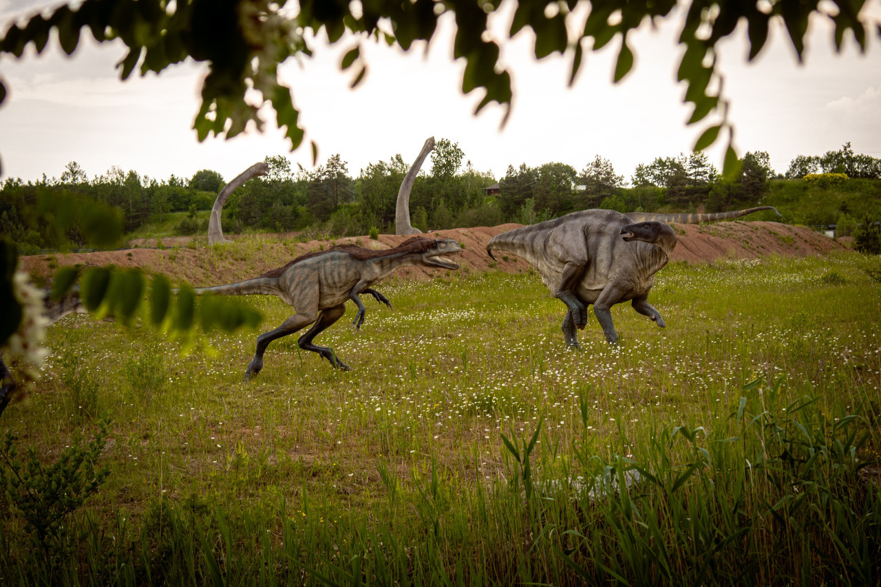 El cambio climático, el factor oculto de la extensión de los dinosaurios. Foto: Unsplash