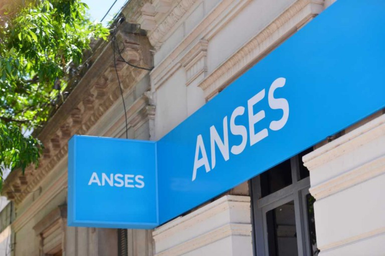 ANSES. Foto: NA.