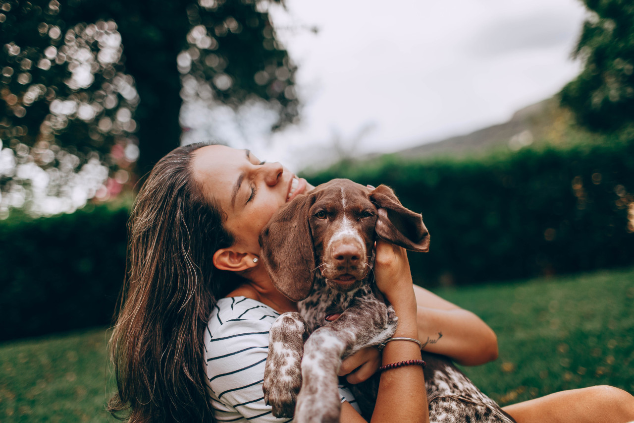 Crean una droga para alargar la vida de los perros. Foto: Unsplash