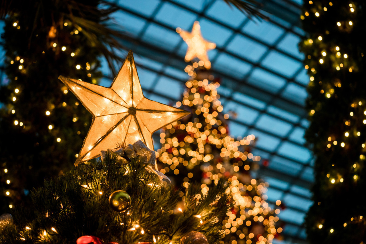 Árbol de Navidad. Foto: Unsplash.