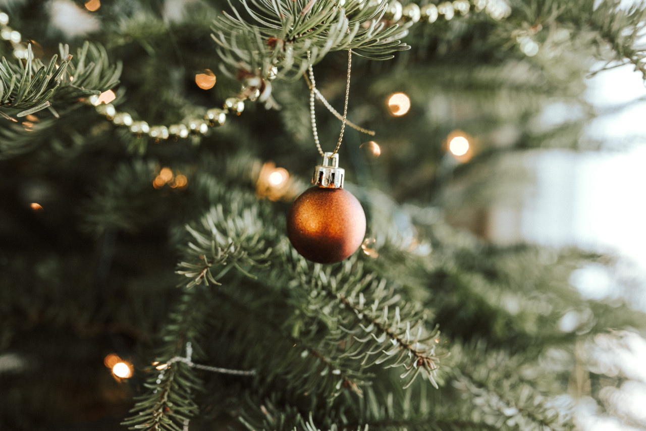 Árbol de Navidad. Foto: Unsplash.