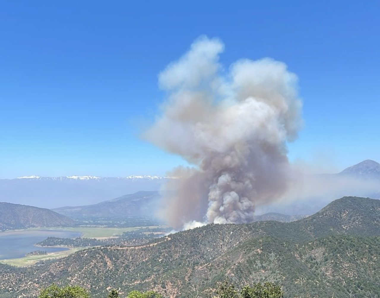 Incendio forestal en sector en Pintue y Aculeo en Chile. Foto: Twitter @bomberosdechile