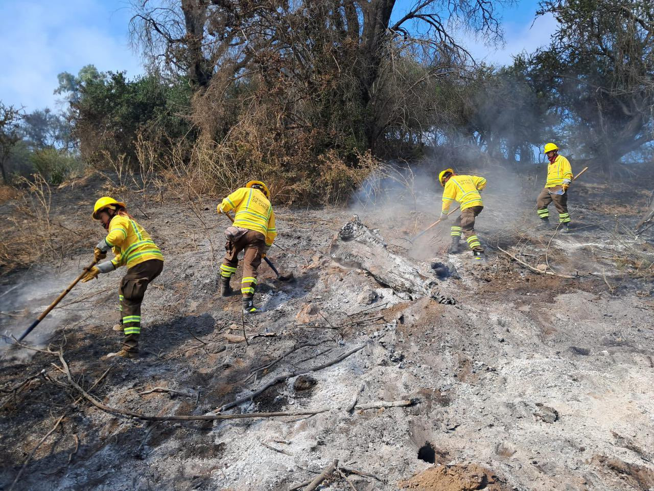 Incendios forestales en Chile. Foto: X/@Ejercito_Chile