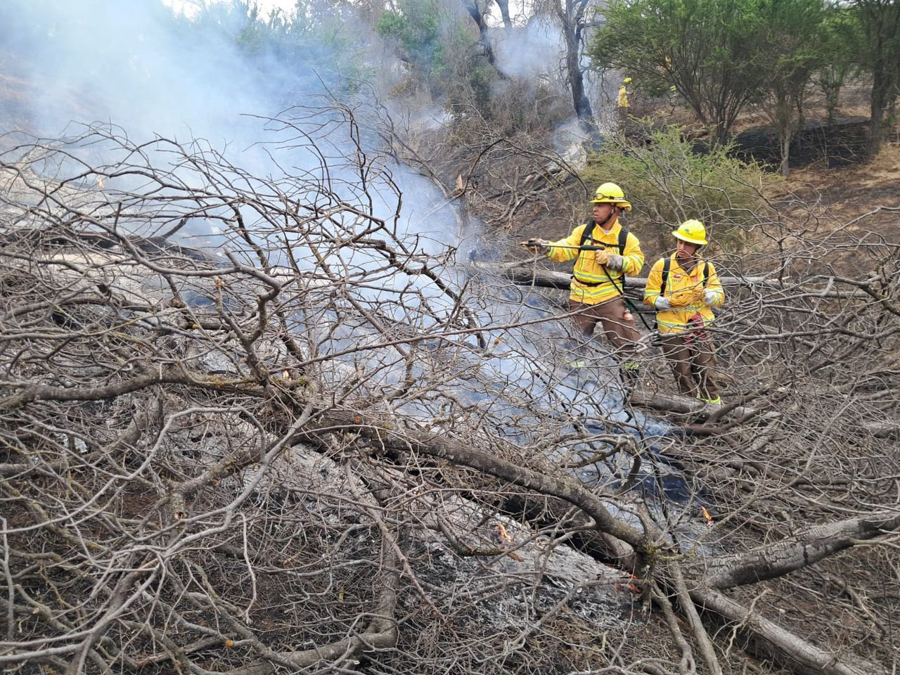 Incendios forestales en Chile. Foto: X/@Ejercito_Chile