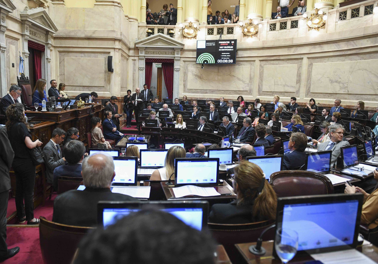 Victoria Villarruel en la sesión del Senado. Foto: NA