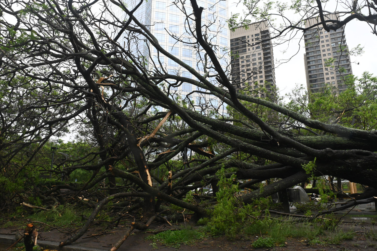 Consecuencias del temporal en la zona de Puerto Madero. Foto: Télam