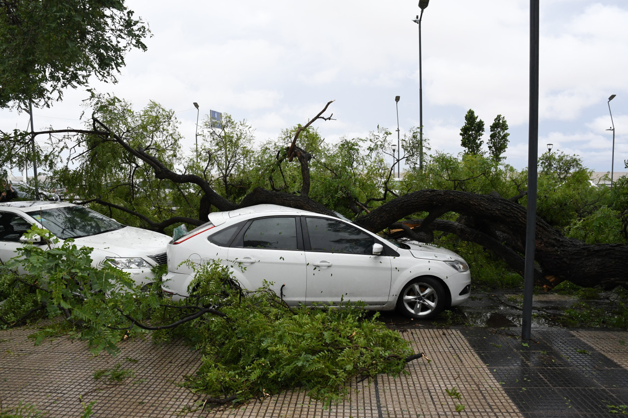 Consecuencias del temporal en Aeroparque. Foto: Télam