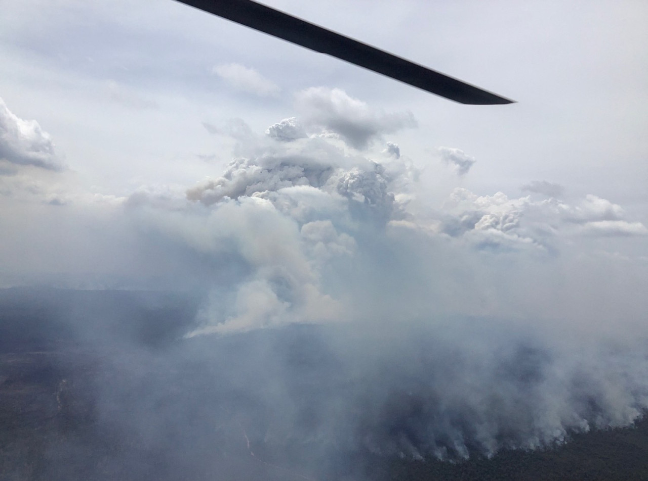 El humo de los incendios que arden en Australia. Foto: X (@NSWRFS).