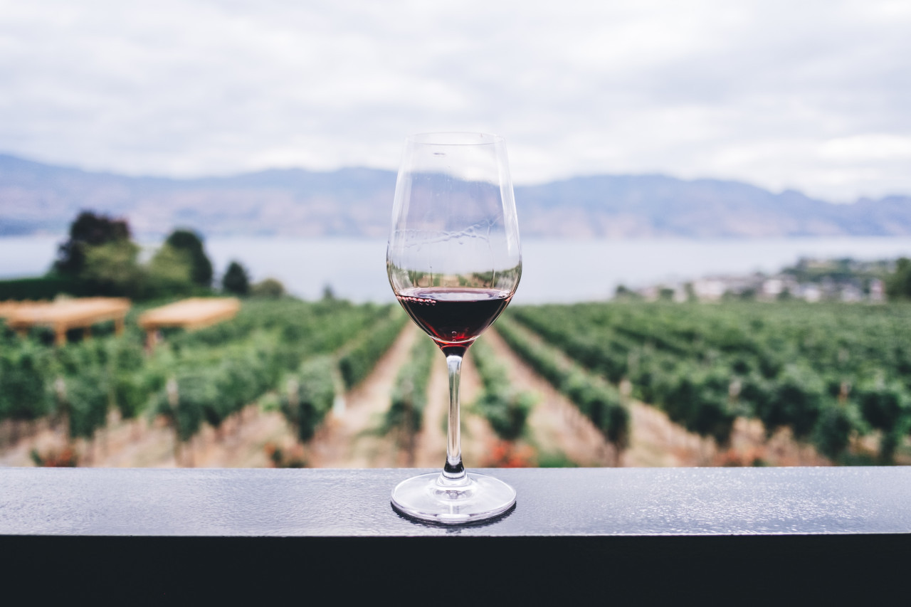 Vino, bebida alcohólica, vid. Foto: Unsplash