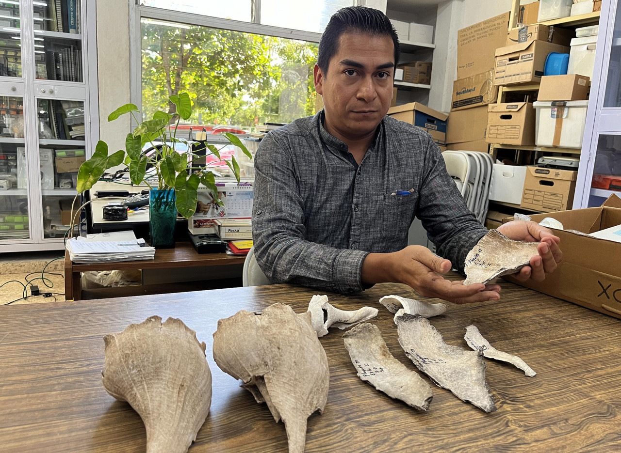 Las piezas halladas en Yucatán. Foto: EFE