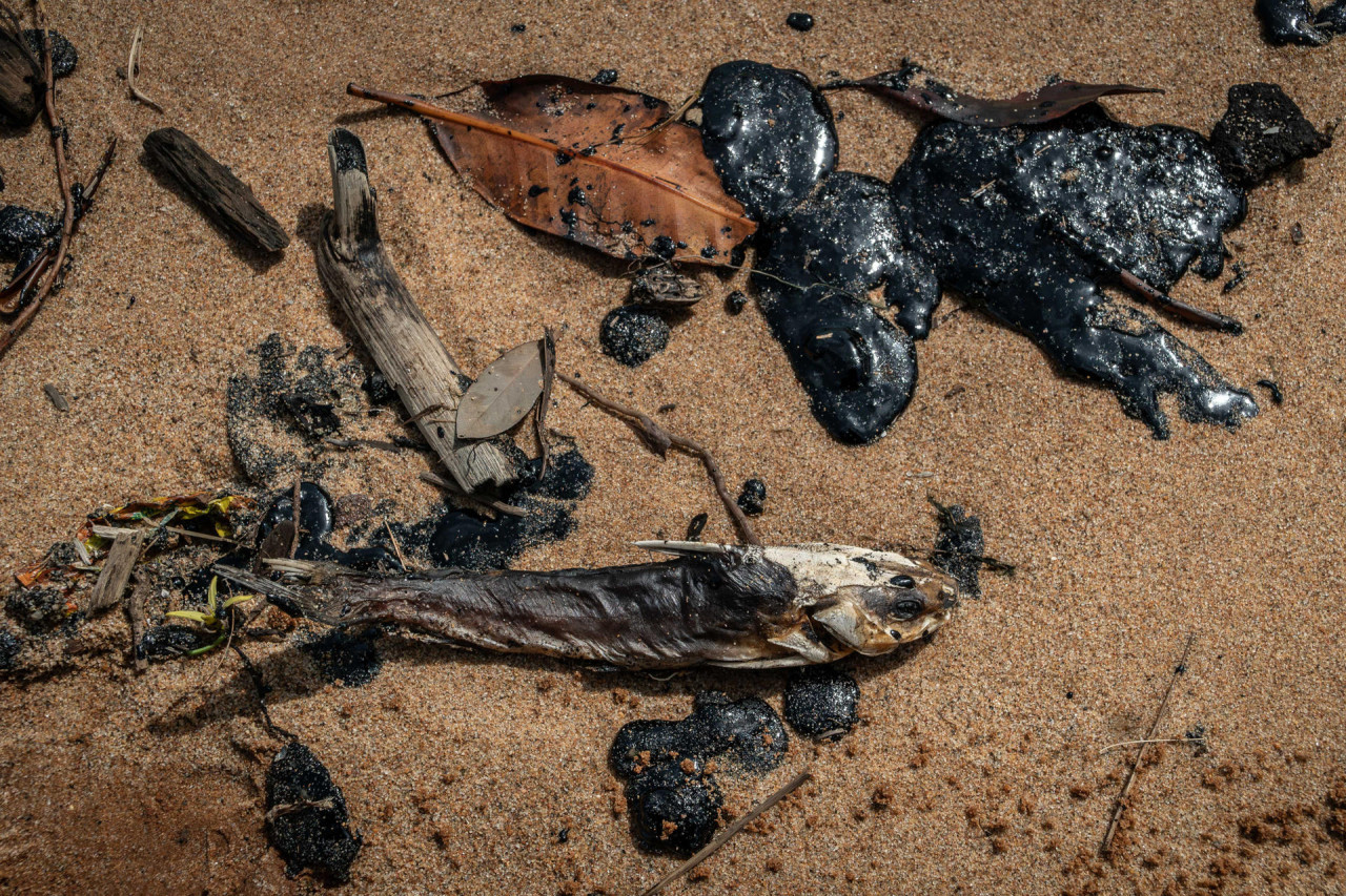 Venezuela, contaminación. Foto: EFE