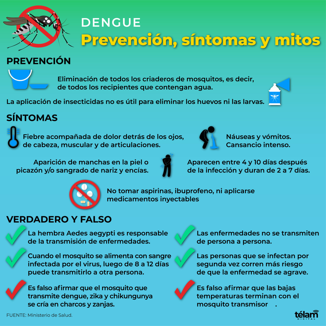 Dengue. Infografía: Télam