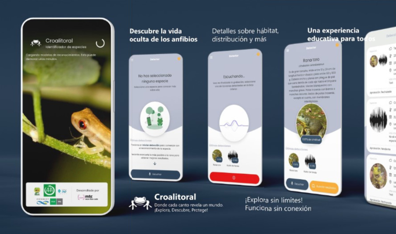 Científicos argentinos crean la primer aplicación para detectar anfibios en Sudamérica. Foto: Captura de PlayStore