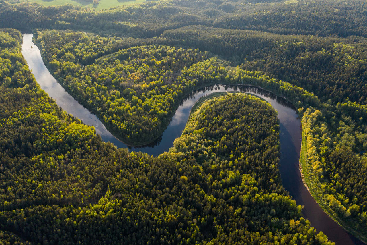 Selva amazónica. Foto Unsplash.