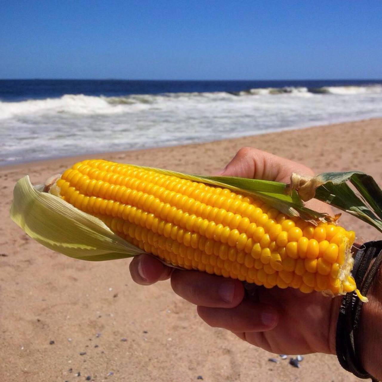 Comer un choclo en la playa jamás fue tan caro. Foto: Unsplash