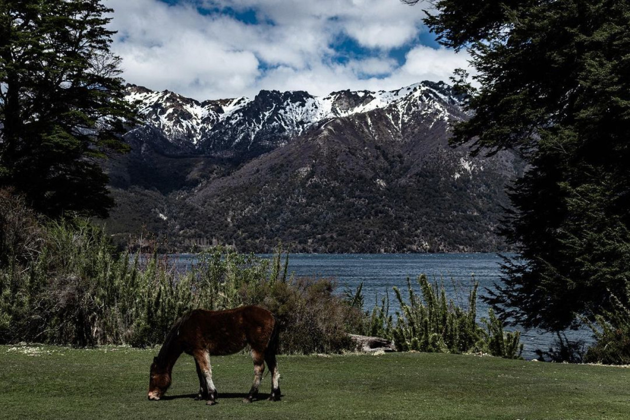 Parque Nacional Lanin, Neuquén. Foto: Instagram.