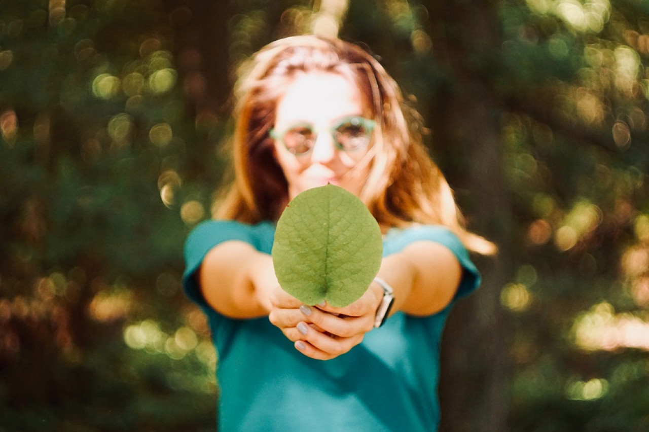 Medio ambiente. Foto: Unsplash.