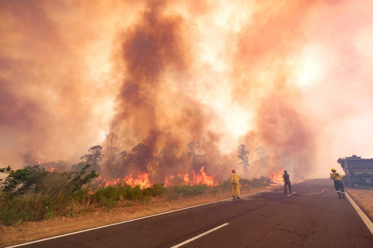 Incendios forestales. Foto: Télam