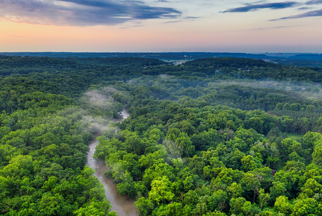 Río Amazonas. Foto: Pexels