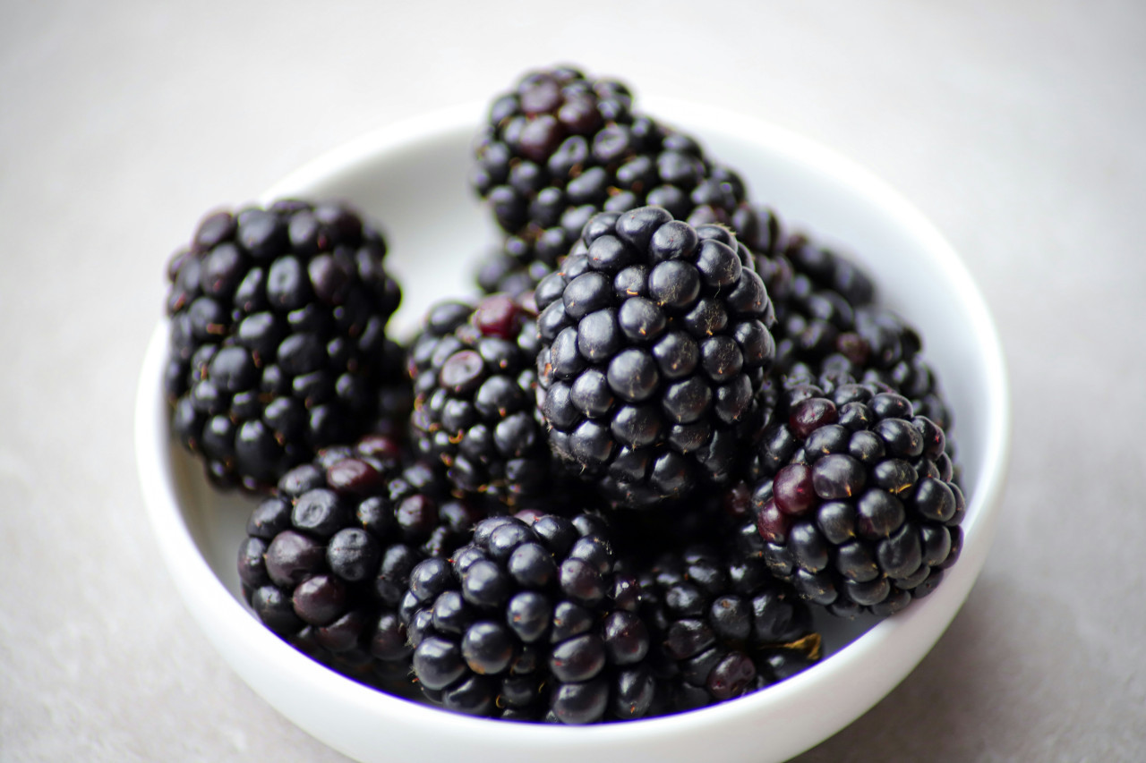 Moras. Foto Unsplash.