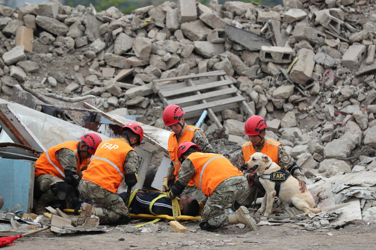 Los perros que salvarán a víctimas de un terremoto e inundaciones en Perú. Foto: EFE