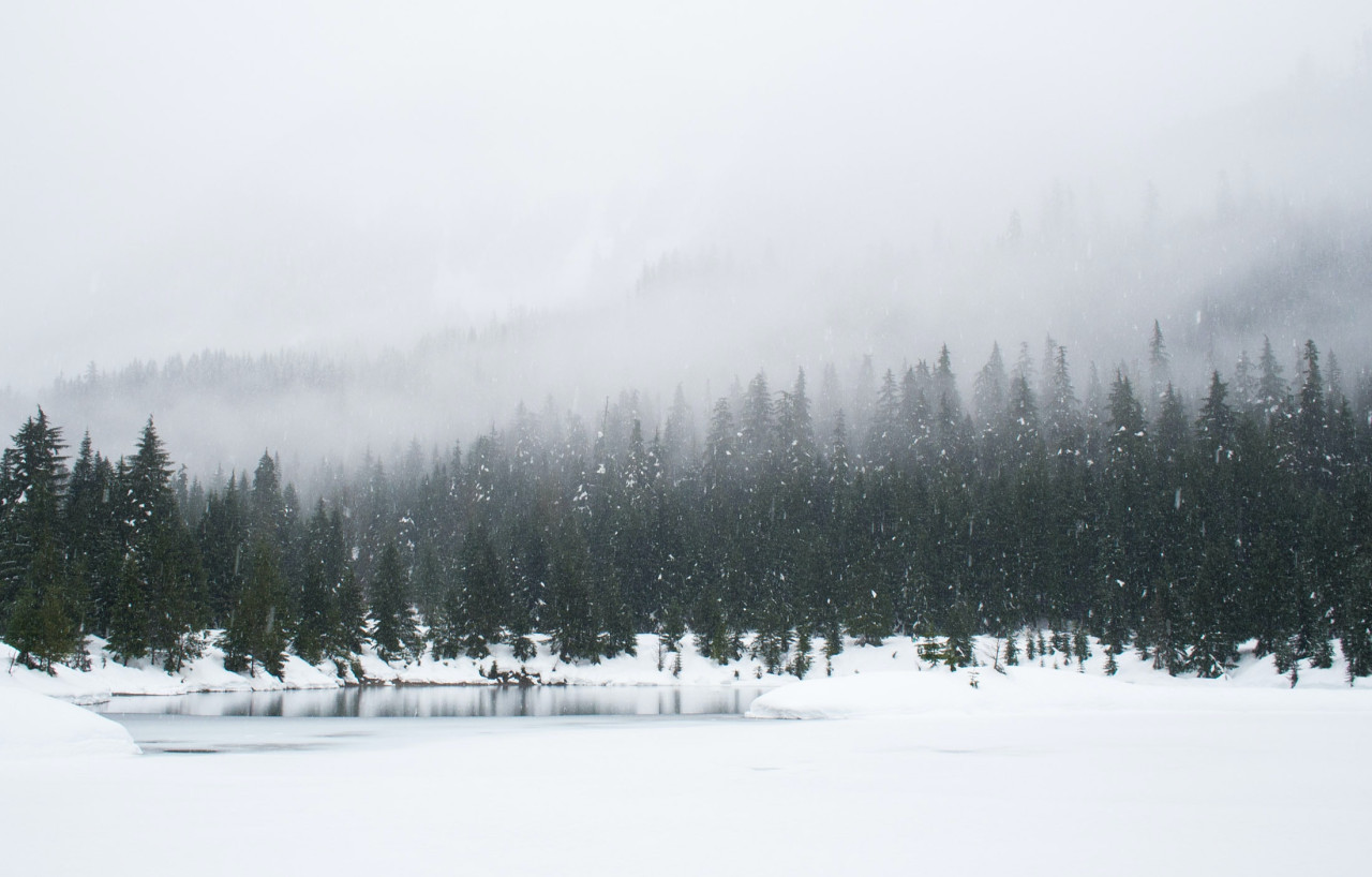 Nieve, invierno, frio. Foto Unsplash.