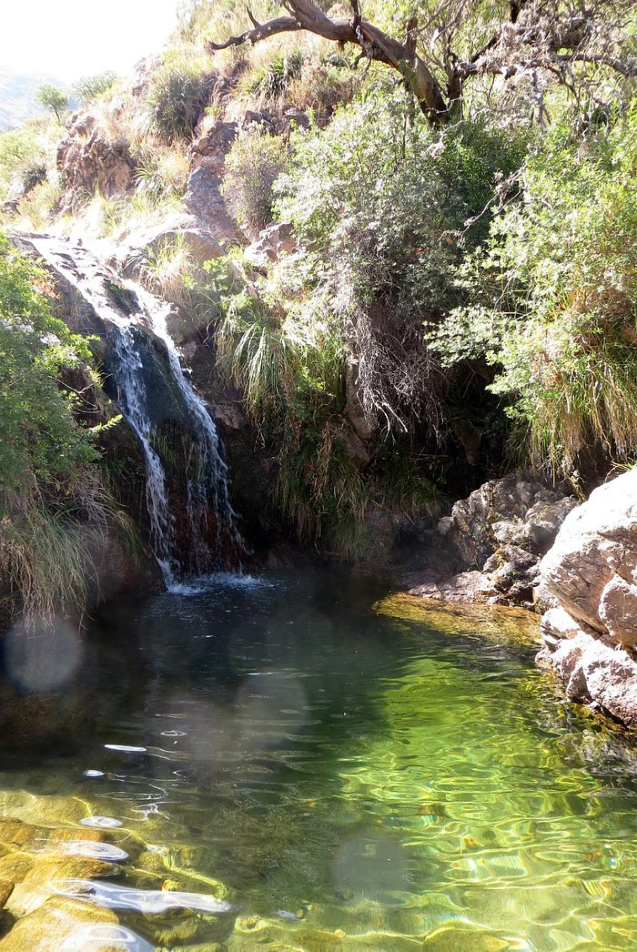 Chorro de San Ignacio, San Luis. Foto Tripadvisor.