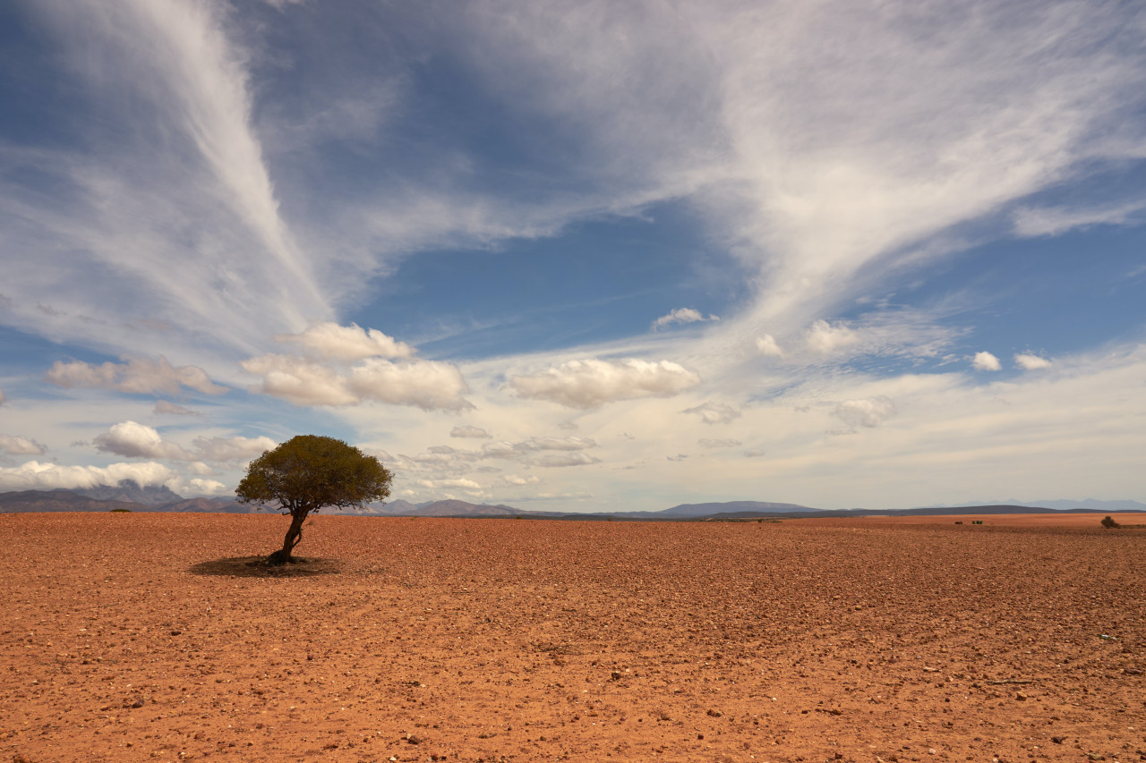 Calentamiento global. Foto: Unsplash