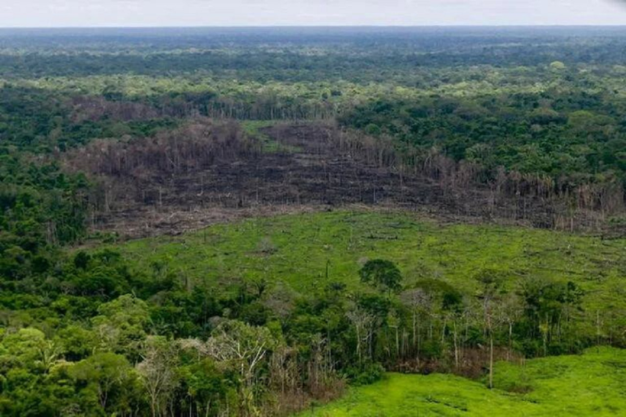 Sierra de Chiribiquete, Colombia. Foto: Reuters