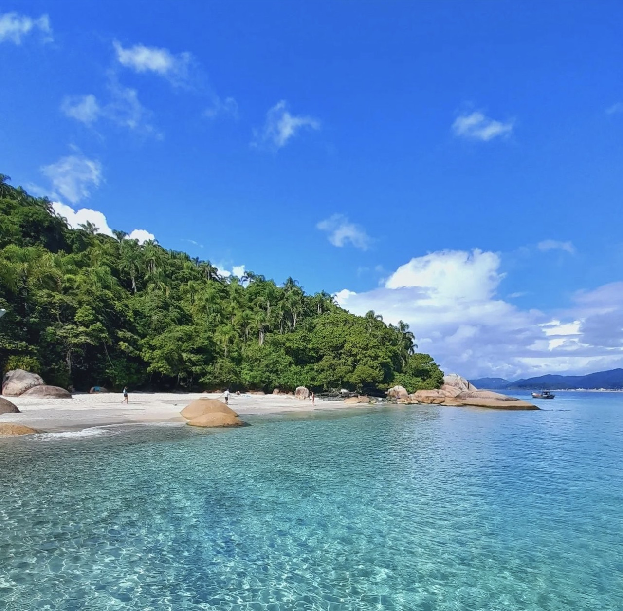 Isla Campeche, Florianópolis. Foto Instagram @ilhadocampeche.apaaps.