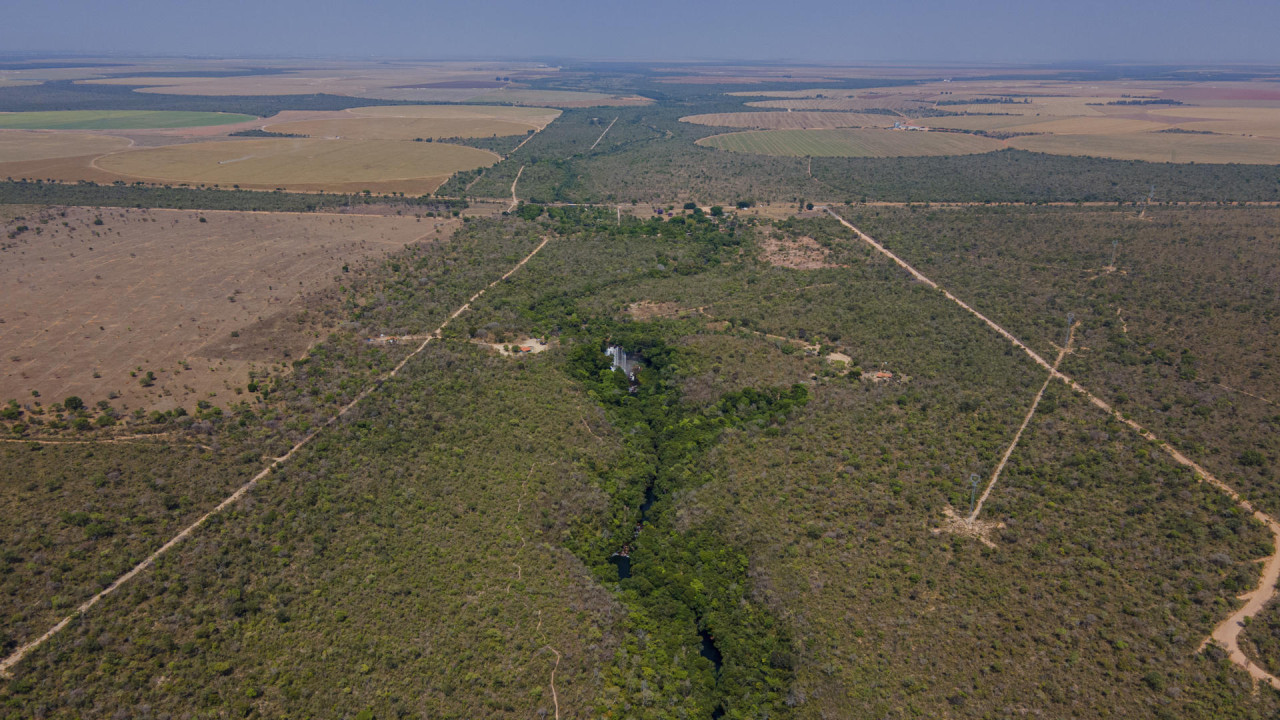 Deforestación en el Cerrado, Brasil. Foto: EFE.