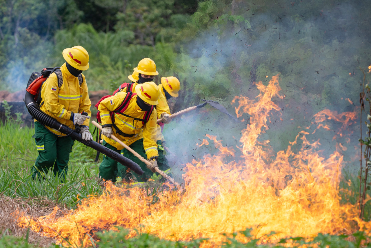 Incendios forestales Colombia. Foto: X @COL_EJERCITO