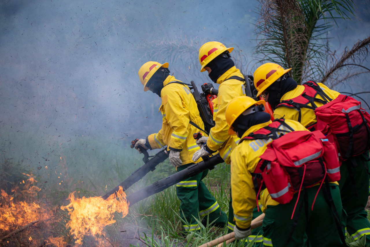 Incendios forestales Colombia. Foto: X @COL_EJERCITO