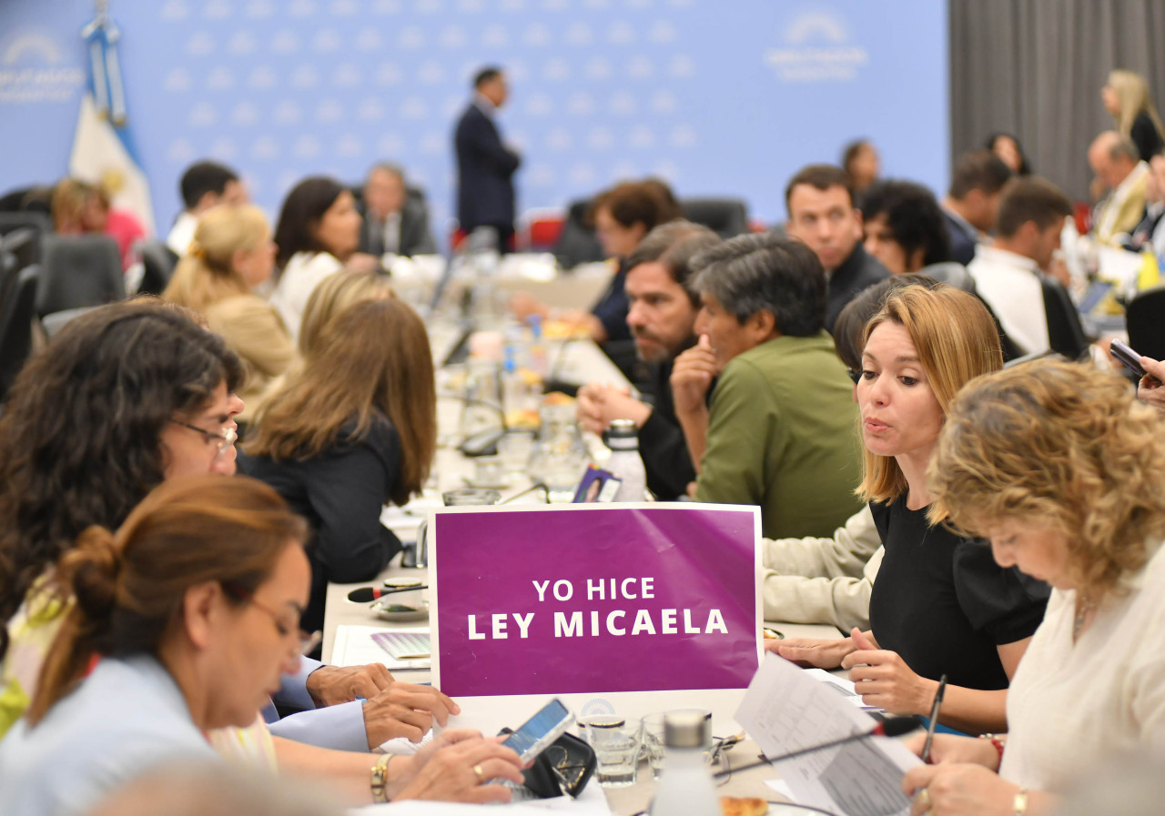 Debate en comisión de la Ley Ómnibus. Foto: NA.