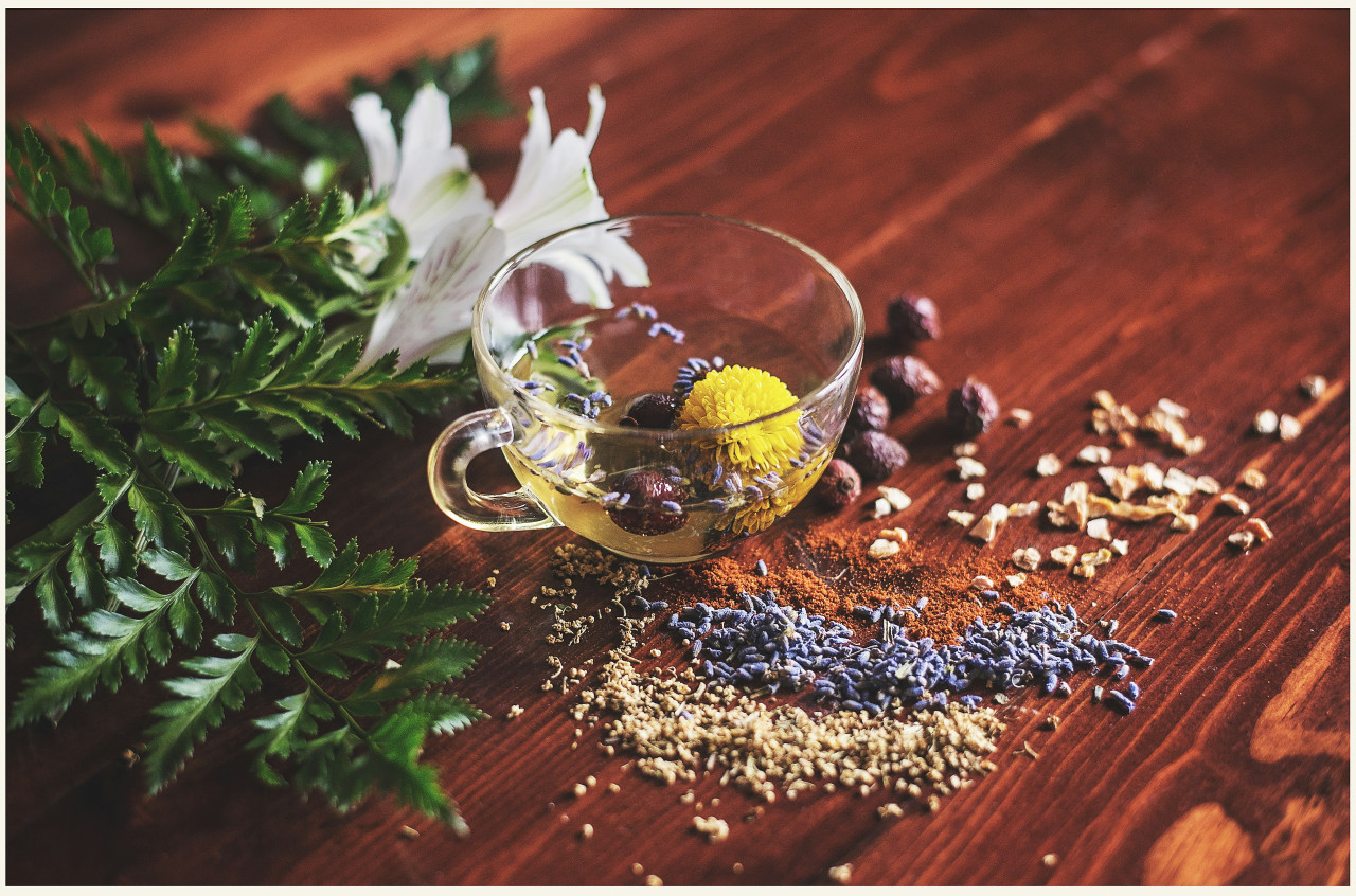 Té, infusión, plantas, hierbas, medicinal. Foto: Unsplash