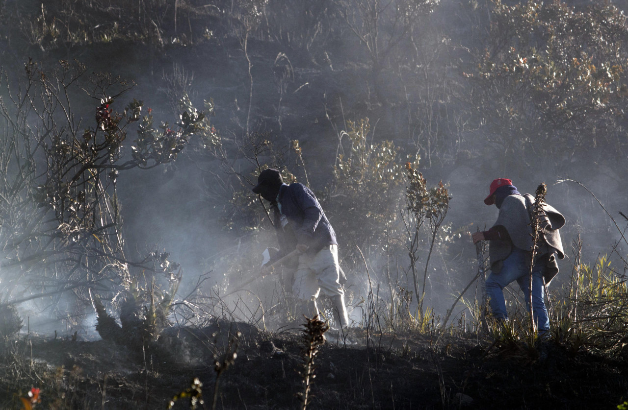 Incendios forestales en Colombia. Foto: EFE