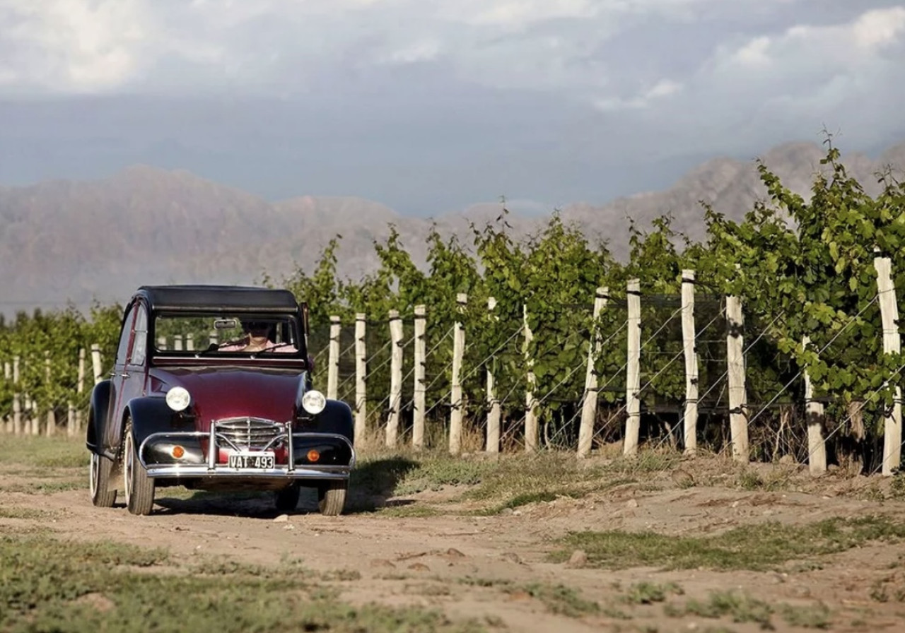 Ruta del Vino - Mendoza. Foto NA.